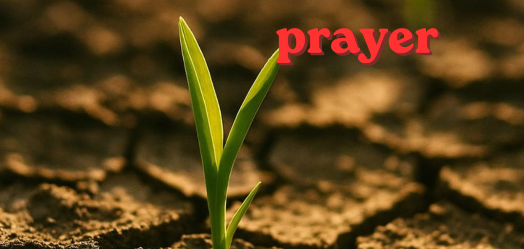 Prayer For Lost Things