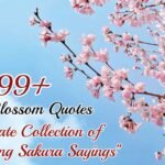 Cherry Blossom Quotes