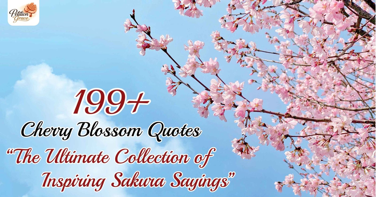 Cherry Blossom Quotes