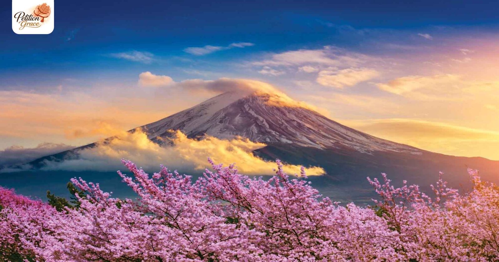 Cherry Blossom Quotes