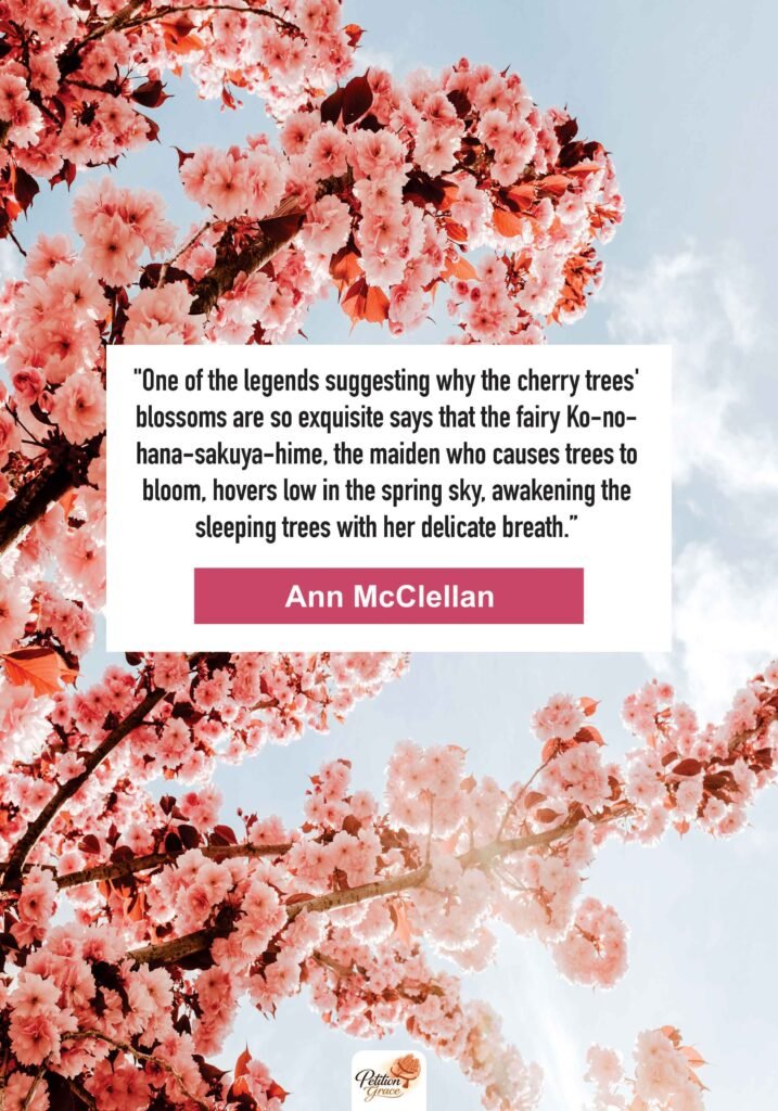 Cherry Blossom Quotes About Beauty