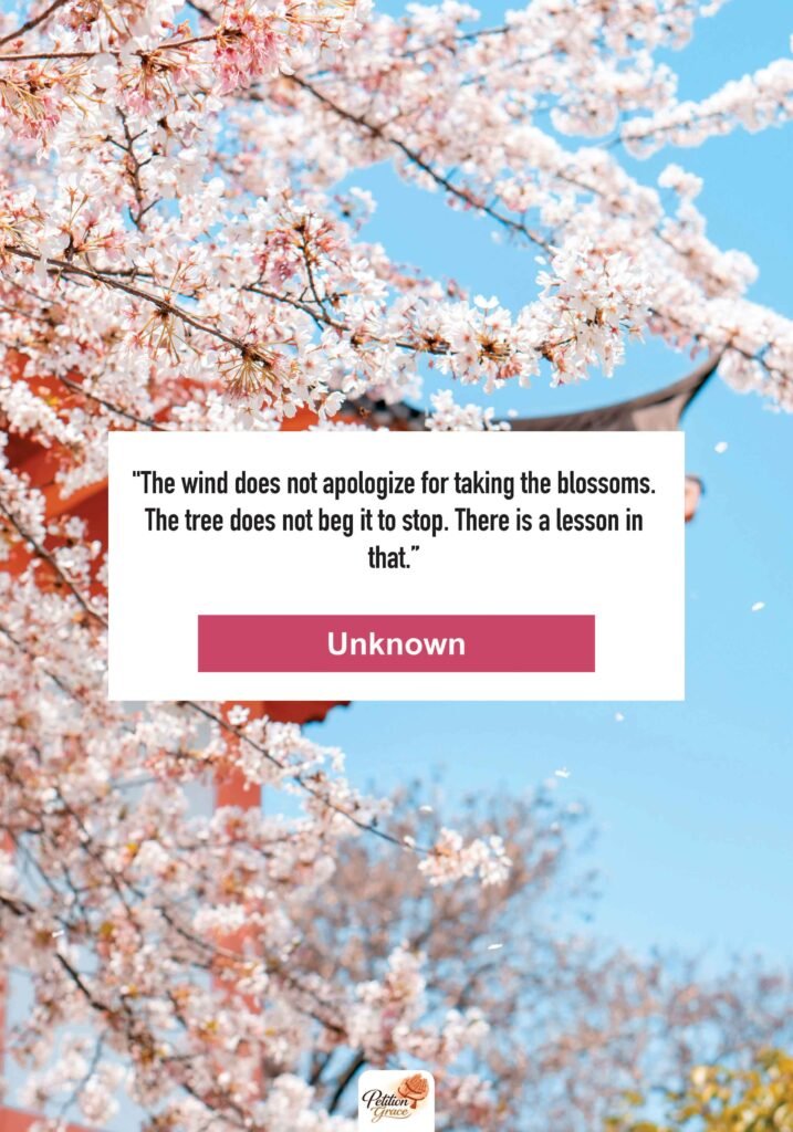 Cherry Blossom Quotes About Letting Go