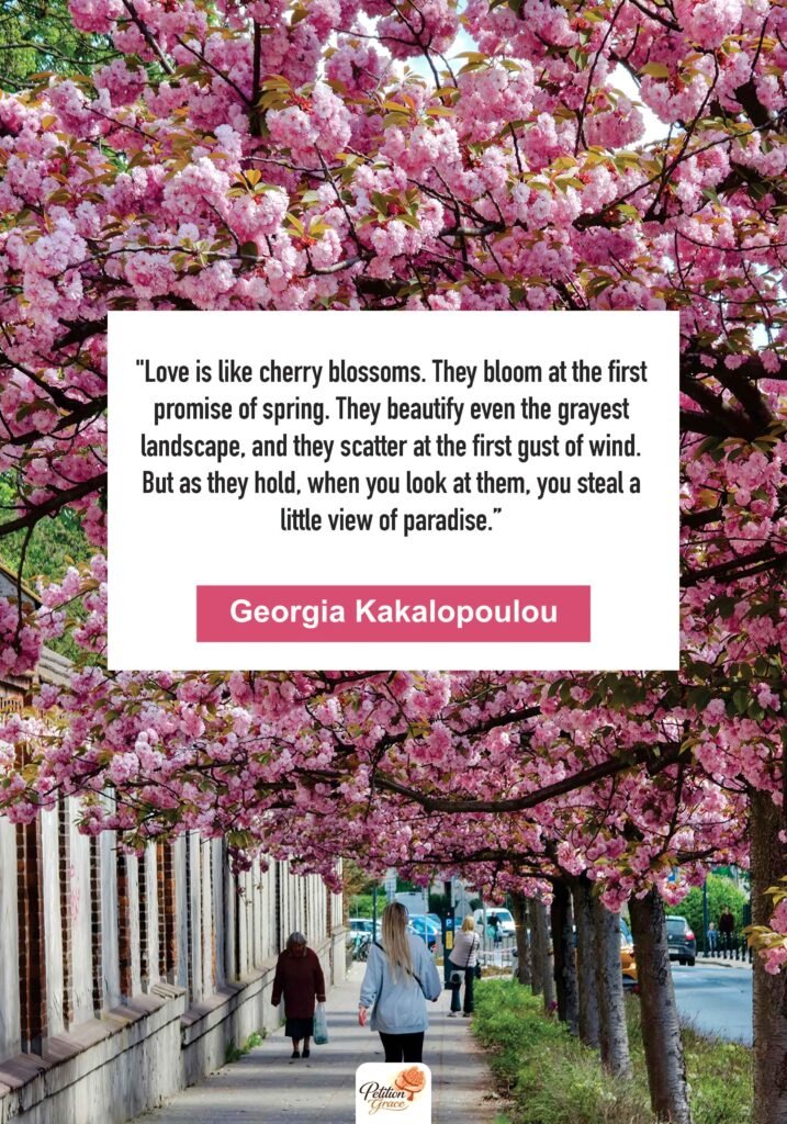 Cherry Blossom Quotes About Love and Romance