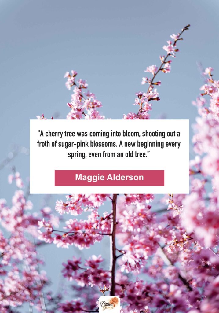 Cherry Blossom Quotes About New Beginnings