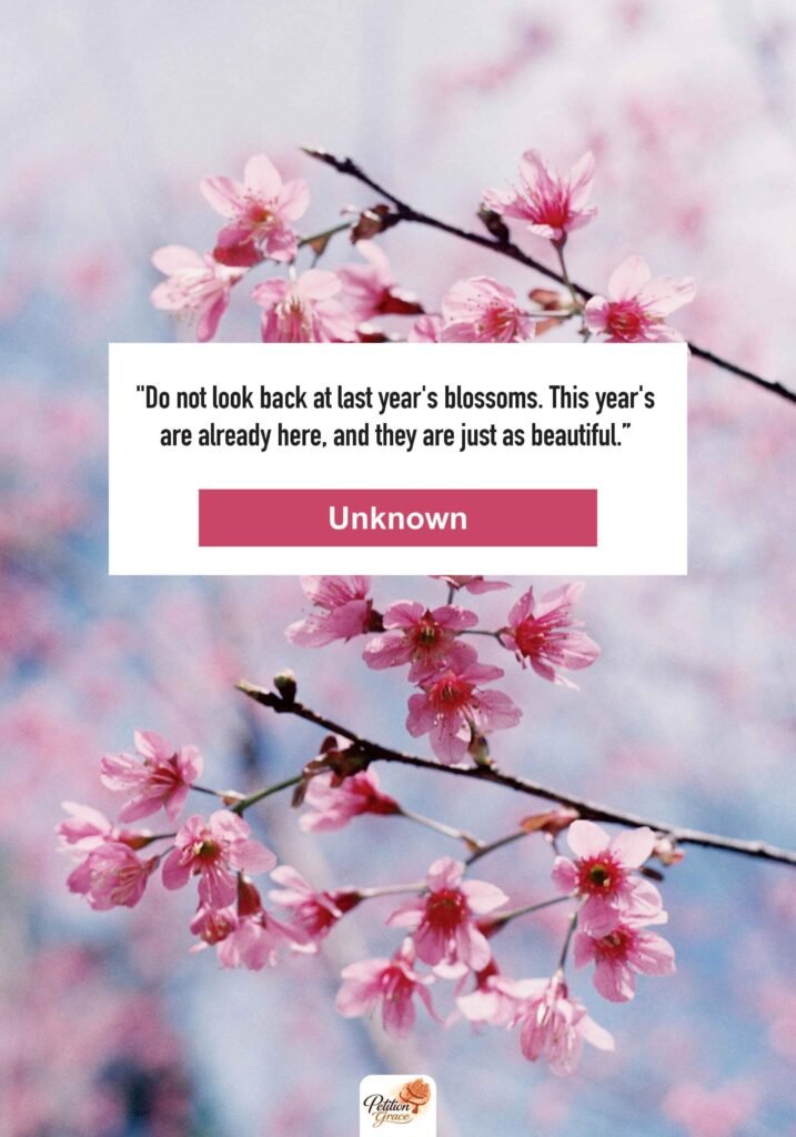 Cherry Blossom Quotes About Time