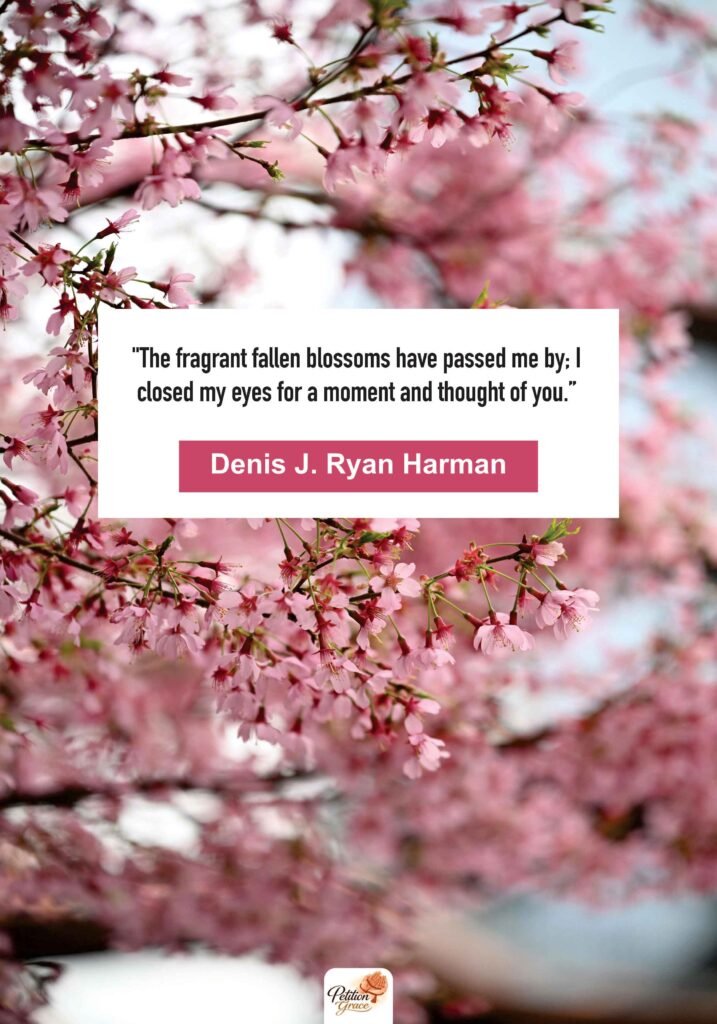 One Line Cherry Blossom Quotes