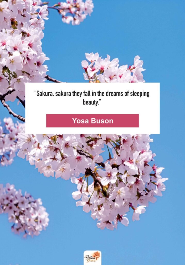 Spiritual Cherry Blossom Quotes